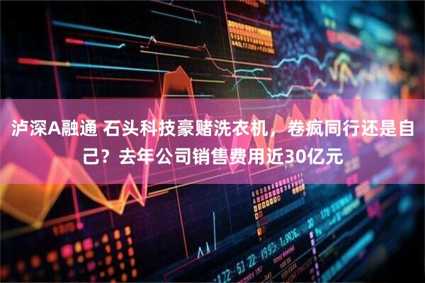 泸深A融通 石头科技豪赌洗衣机，卷疯同行还是自己？去年公司销售费用近30亿元