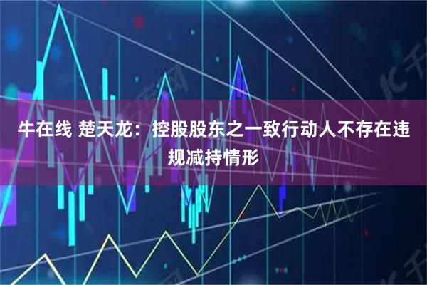 牛在线 楚天龙：控股股东之一致行动人不存在违规减持情形