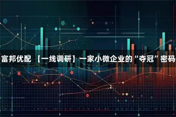 富邦优配 【一线调研】一家小微企业的“夺冠”密码