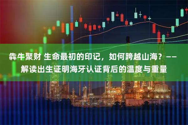 犇牛聚财 生命最初的印记,如何跨越山海?—— 解读出生证明海牙认证背后的温度与重量