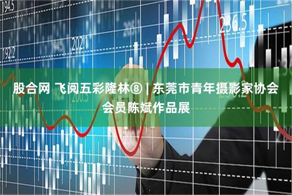 股合网 飞阅五彩隆林⑧ | 东莞市青年摄影家协会会员陈斌作品展